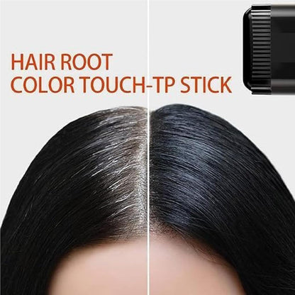 2-in-1 Hair Touch Up Comb & Powder Stick